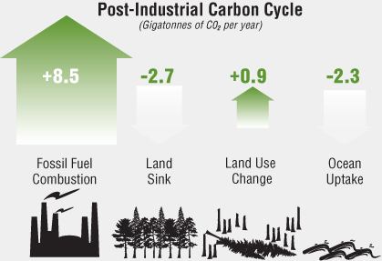 Post industrial carbon cycle